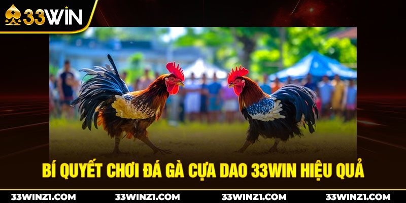 Bí quyết chơi đá gà cựa dao 33win hiệu quảBí quyết chơi đá gà cựa dao 33win hiệu quả